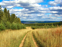 Straße zum Herbst / ***