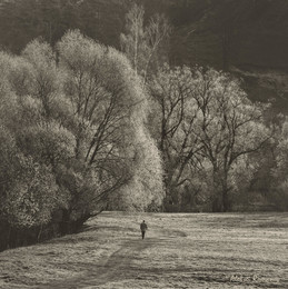 Frühlingsmorgen / ***