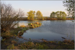 Abendlandschaft / ***