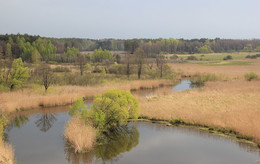 Fluss Stokhid / ***