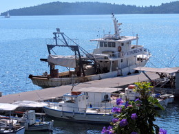 Im Vorgriff auf den Sommer / ***