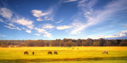 Unter dem blauen Himmel ... / ***