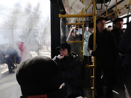 Der Bus / ***
