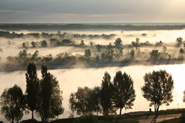 Wollige Nebel / ***