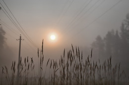 Wollige Nebel / ***