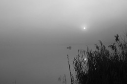 Wollige Nebel / ***