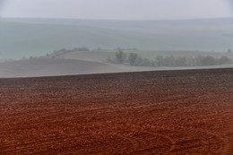 Wollige Nebel / ***