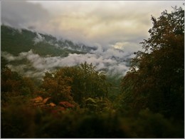 Wollige Nebel / ***