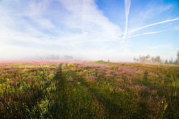 Wollige Nebel / ***