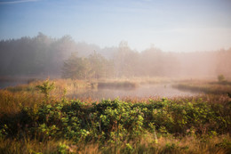 Wollige Nebel / ***