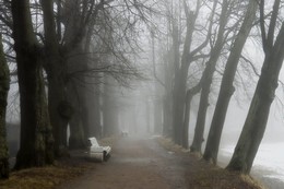 In einem leichten Nebel / ***