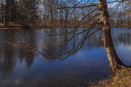 Am Teich ... / ***