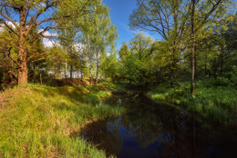 Im Frühjahr Wald / ***