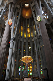 Magic Forest.. / Sagrada La Familia. Gaudi.