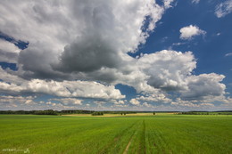 Weißrussisch Landschaft / ***