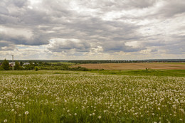 Der Beginn des Sommers / ***