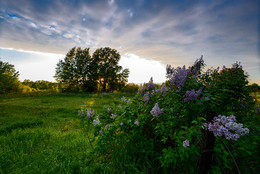 Nach dem Sonnenuntergang / ***