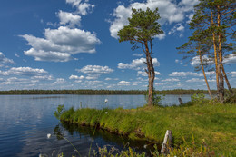 Forest Lake .. / ***