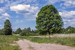 Landschaft. / ***