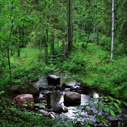 Ursprung / istochnik