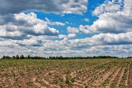 Wolken / ***