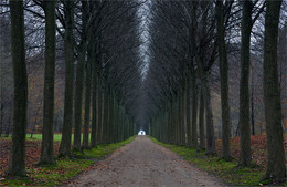 Dunkle Gasse / ***