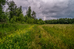 Vor dem Regen / ***