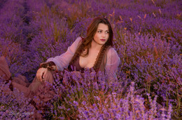 Lavendel / ***