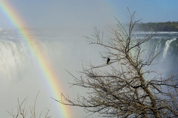 IIIIIIIII / Niagara Falls, Canada side