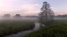 Nebel über dem Fluss / ***