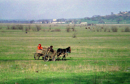 In der Steppe / ***