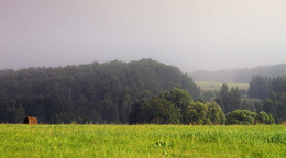 Regen / ***