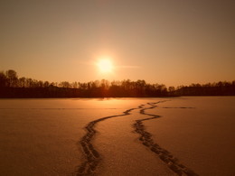 Sonnenuntergang / vid