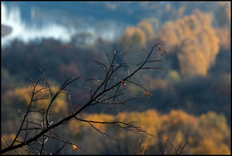 Herbst-Skizzen / ***