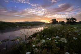 Morgendämmerung am Fluss / ***