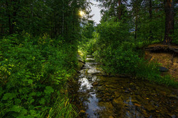 Forest River / Nikon AF-P 10-20