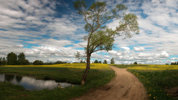 Landschaft mit Baum / ***