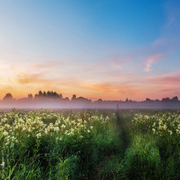 Morgendämmerung / ***