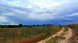 Evening road / ***