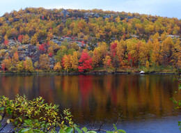 Die Palette des Herbstes / ***