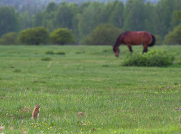 Treffen / ***