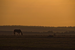 Bei Sonnenuntergang / ***