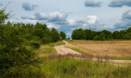 der Weg nach Hause / ////////