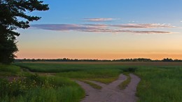 Landschaft. / ***