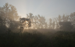 Im Morgenlicht / ***