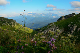 Berglandschaft / ***