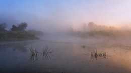 Misty Morgengrauen. / ***