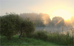 Jetzt die Sonne / ***