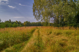 Der Beginn des Herbstes / ***