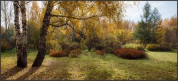 Im Herbst Park / ***